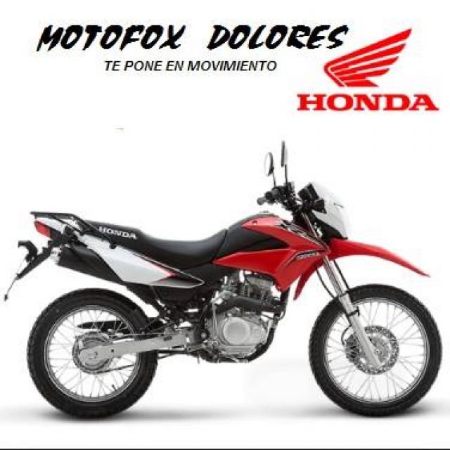 MOTOFOX DOLORES